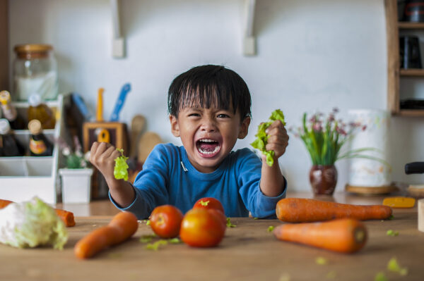The boy who shows an angry emotion, the concept of emotion of a violent child